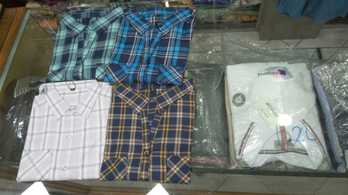 Ladies Shirts